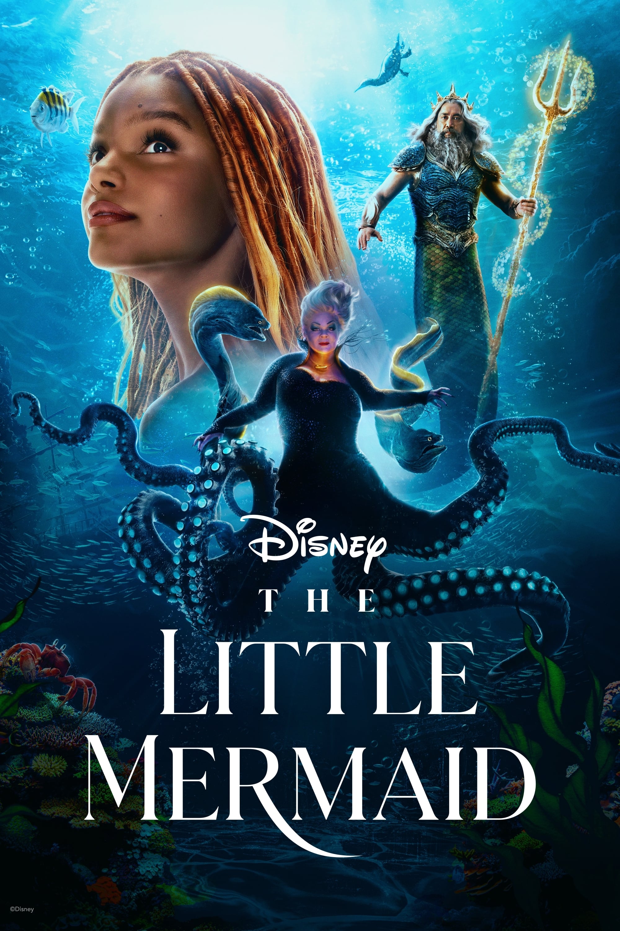 The Little Mermaid 2023 Hindi English Dual Audio MCU Full Movie HD ESub filmywap