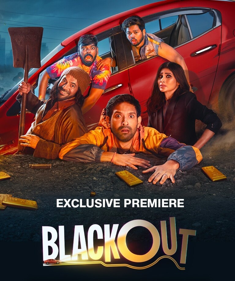 Blackout 2024 Bollywood Hindi Movies HD ESub filmywap