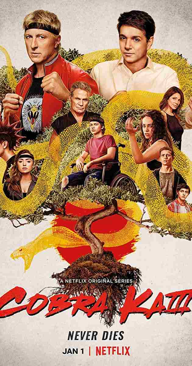 Cobra Kai S03 2021 Hindi Completed Web Series HEVC filmywap