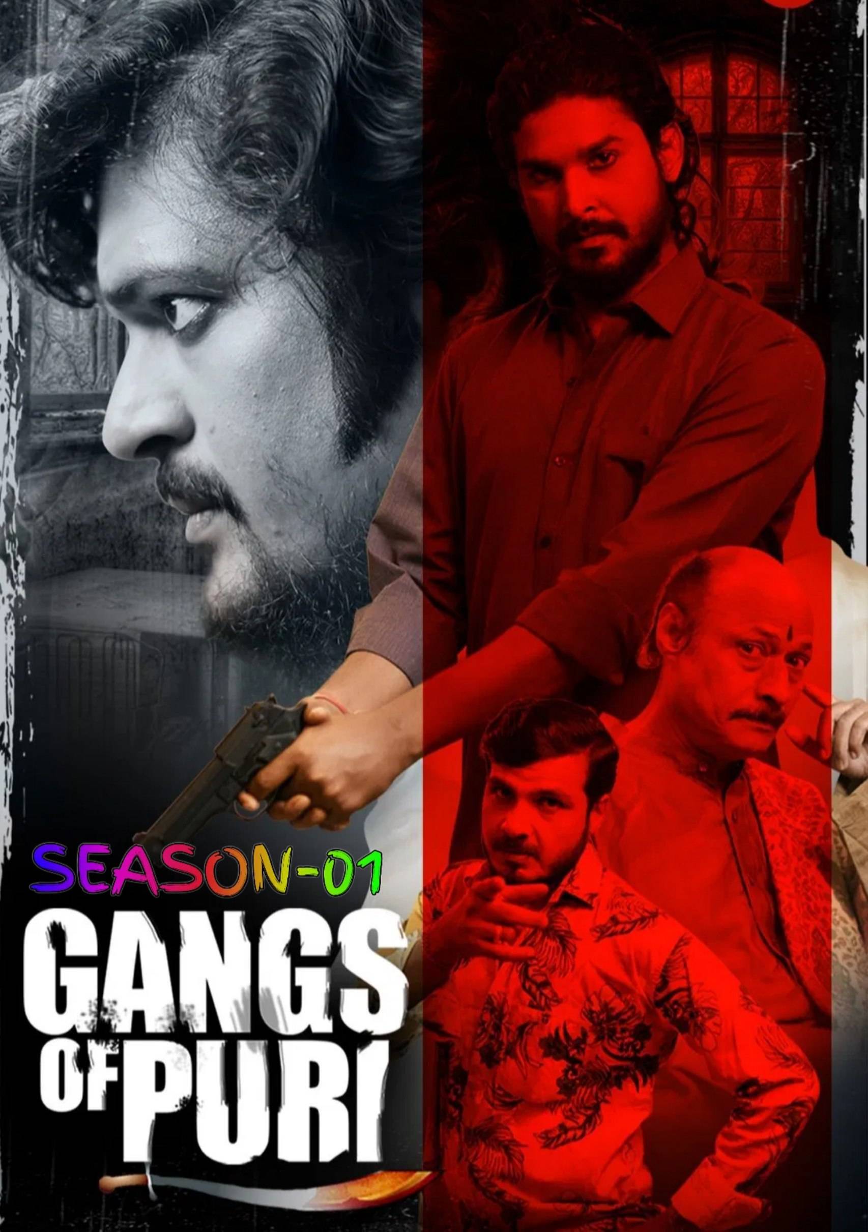 Gangs of Puri S01 2022 Odia Completed Web Series HEVC ESub filmywap