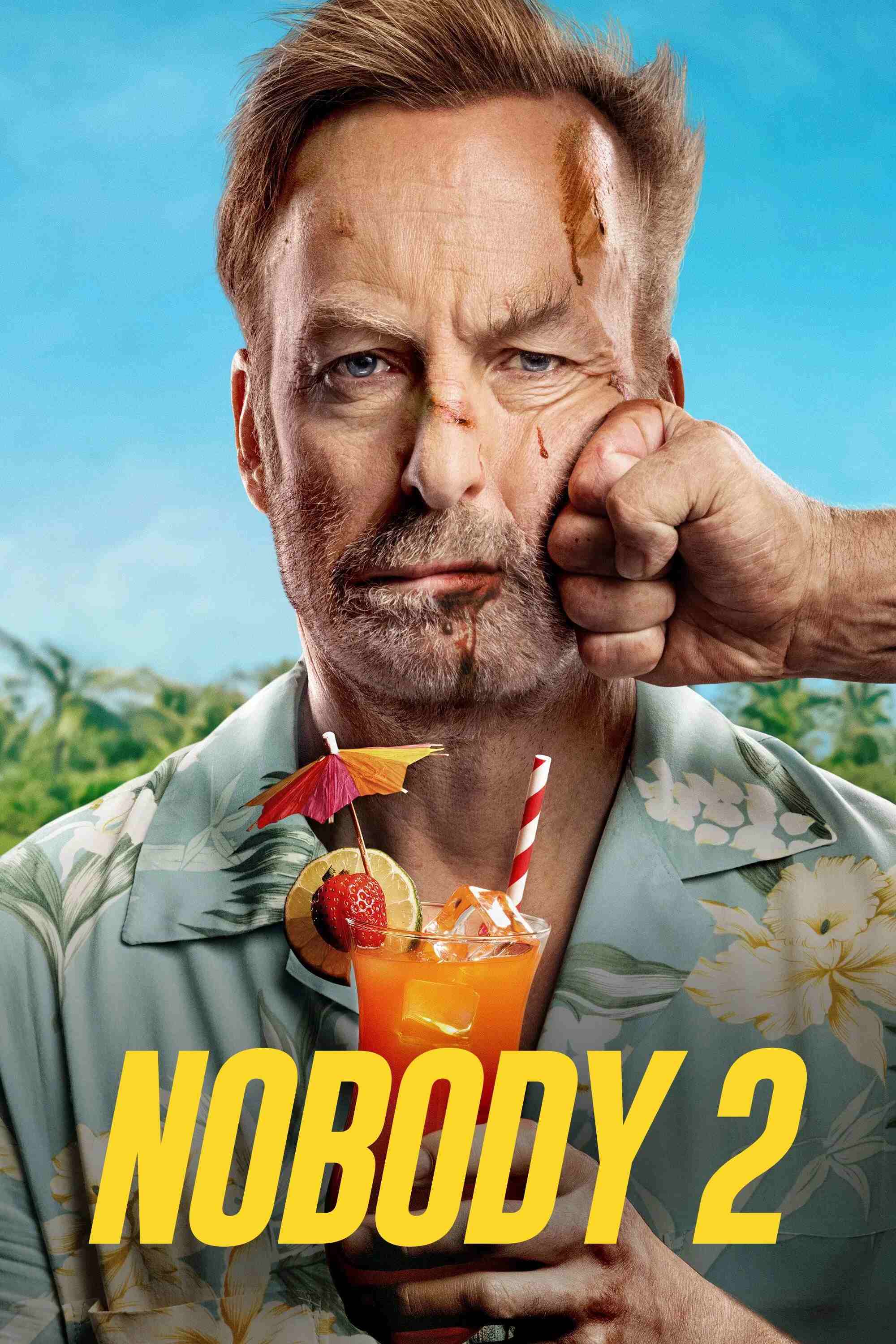 Nobody 2 2015 Hindi English Dual Audio Hollywood Movie HD ESub filmywap