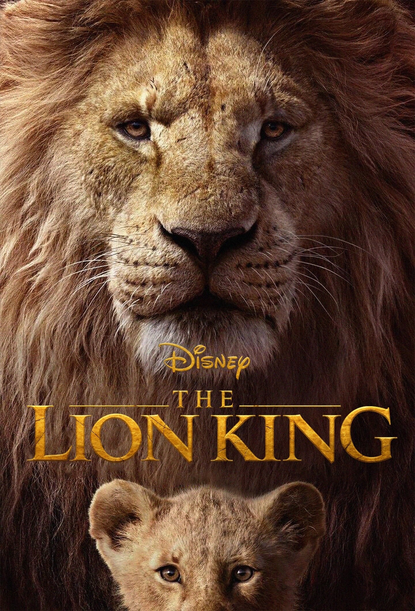 The Lion King 2019 Hindi English Dual Audio Movie BluRay HD ESub filmywap
