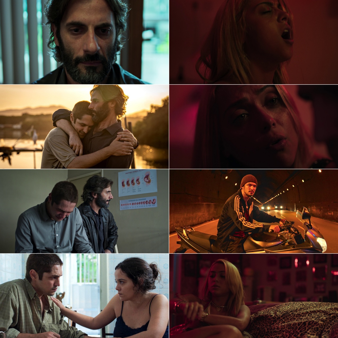 Dom S03 2024 Hindi English Dual Audio Completed Web Series HEVC ESub filmywap screenshot