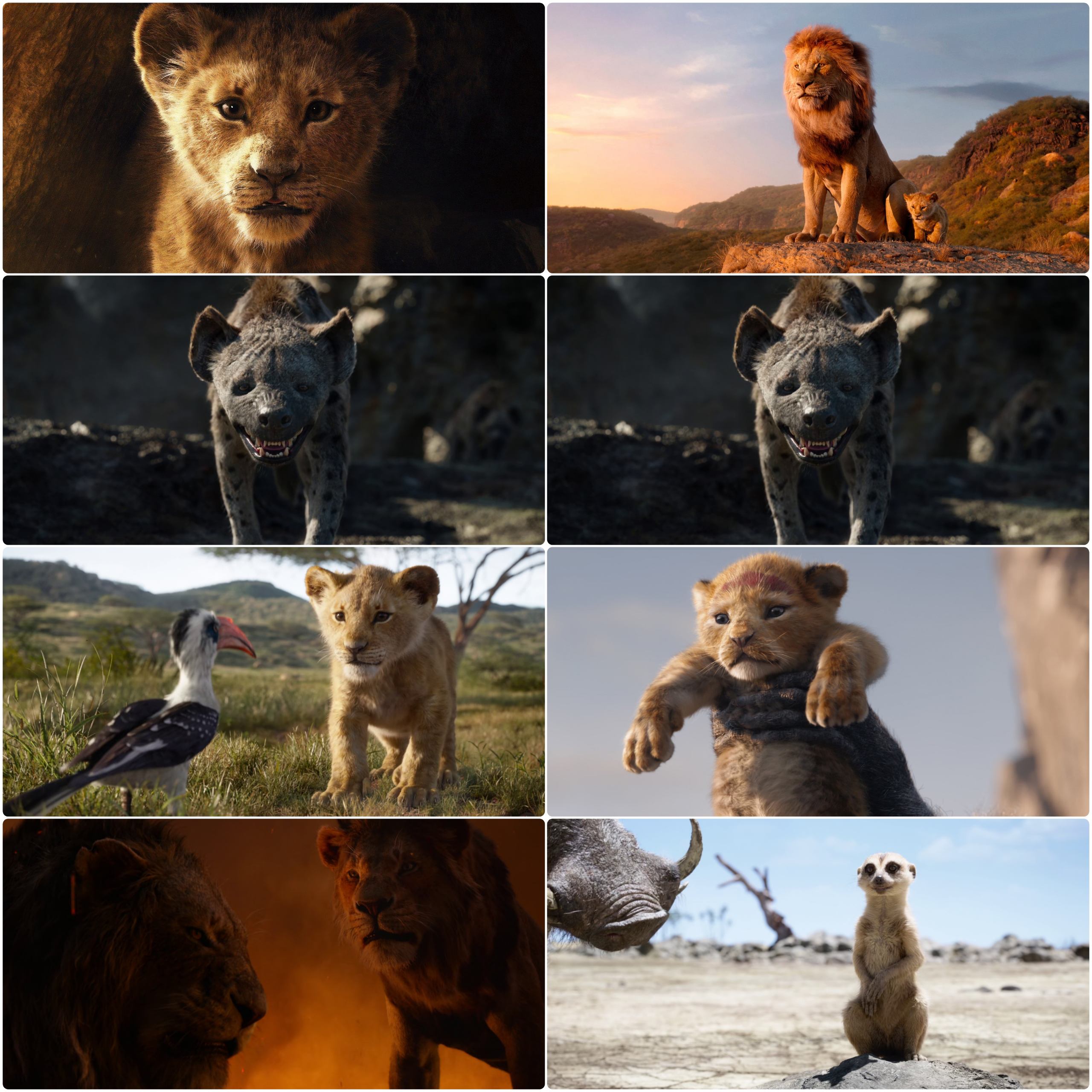 The Lion King 2019 Hindi English Dual Audio Movie BluRay HD ESub filmywap screenshot