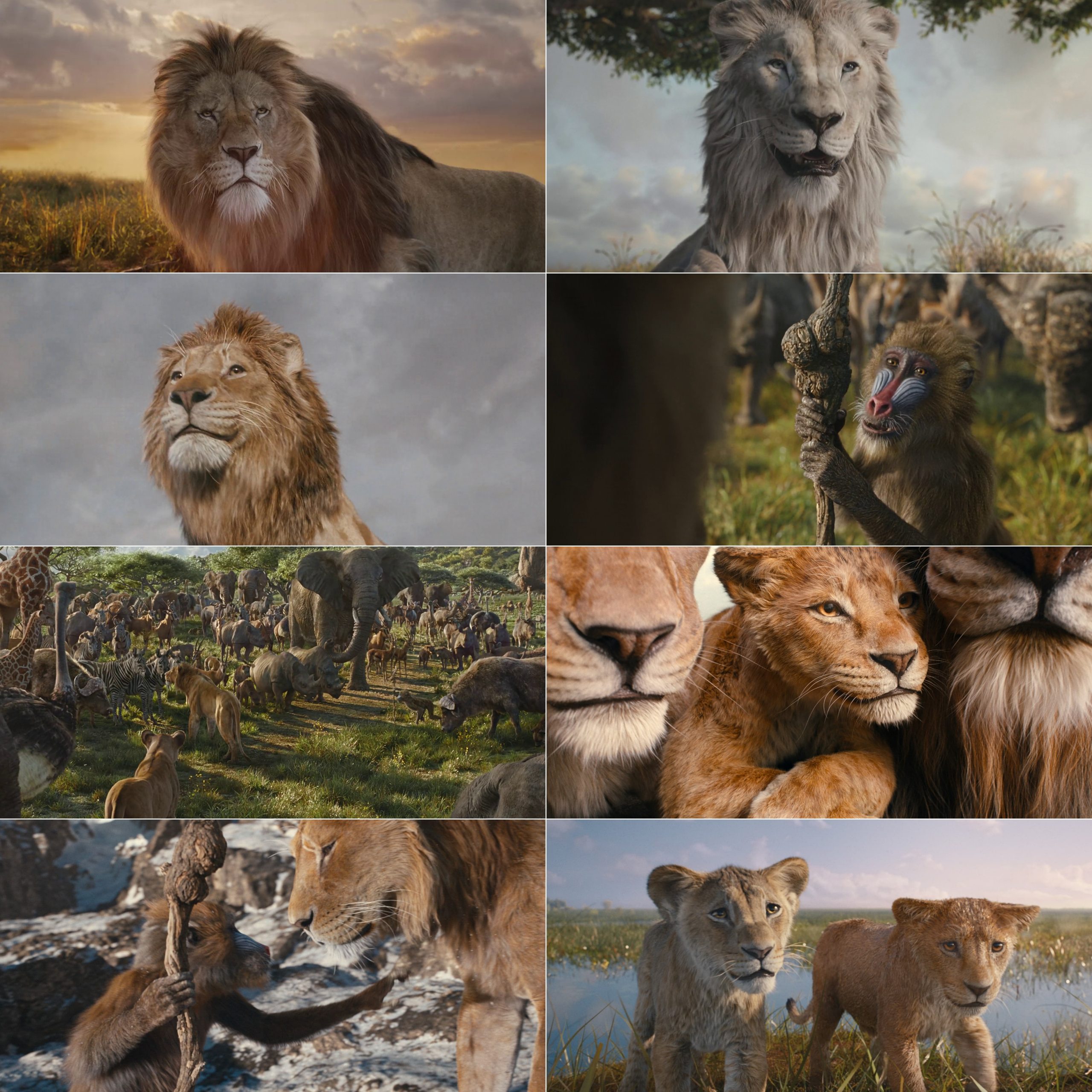 Mufasa The Lion King 2024 Hindi English Dual Audio Hollywood Movie HD ESub filmywap screenshot
