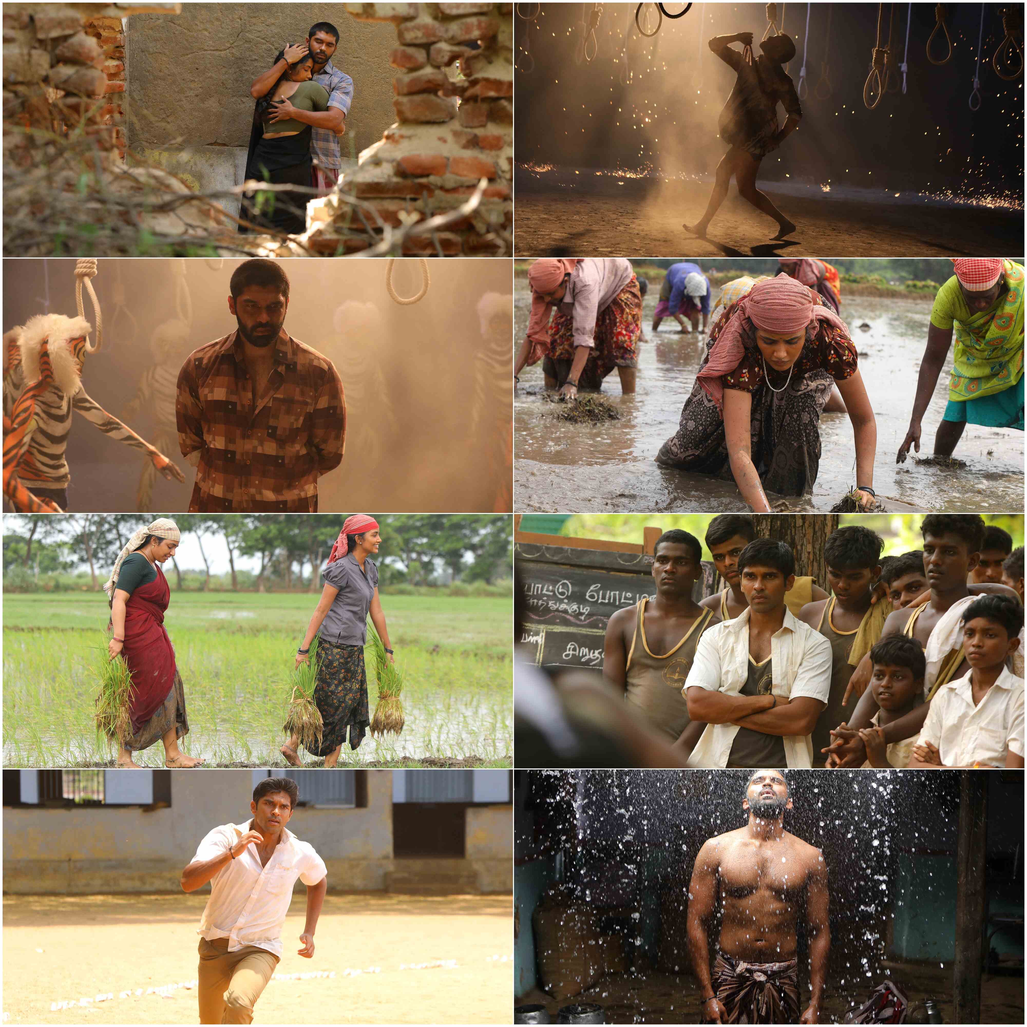 Bison Kaalamaadan 2025 Hindi Tamil Dual Audio UnCut South Movie HD ESub filmywap screenshot