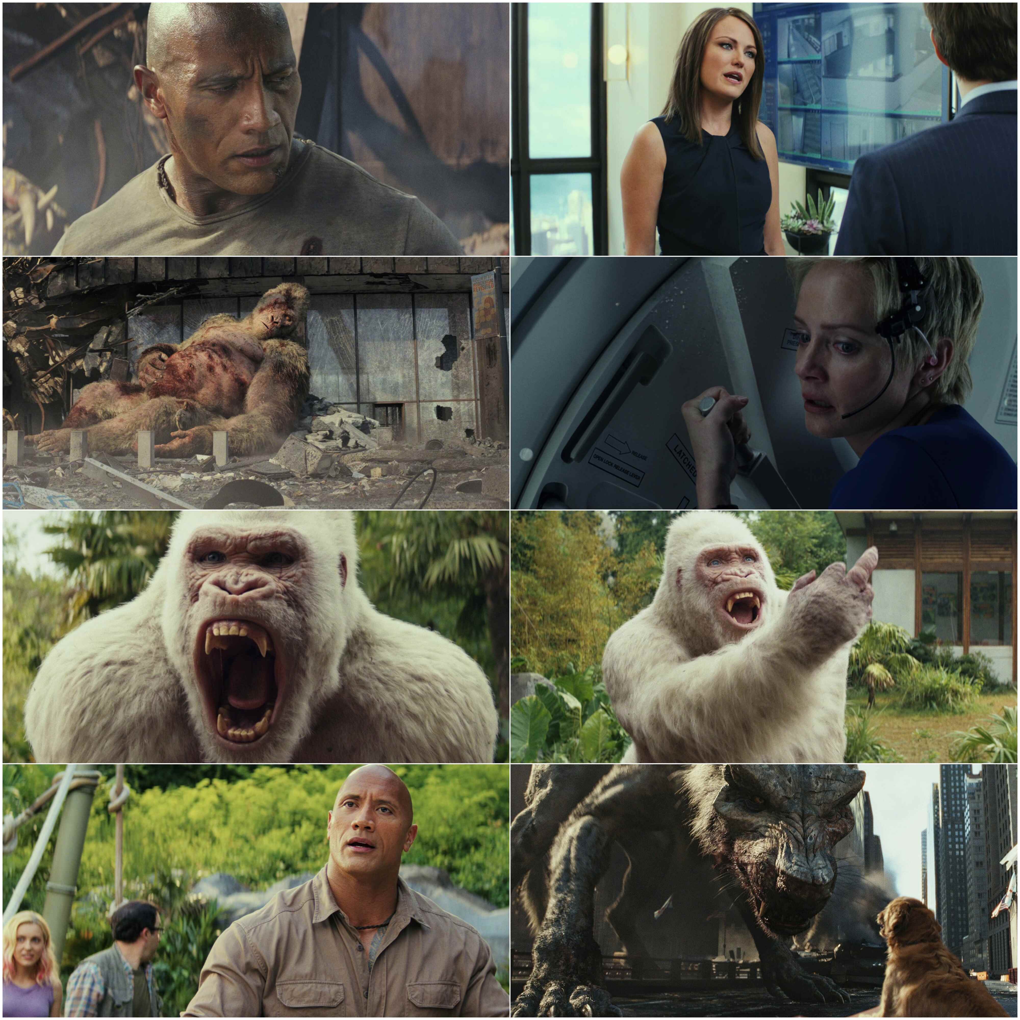 Rampage (2018) (Hindi   English) Dual Audio Hollywood Movie BluRay HD ESub filmywap screenshot