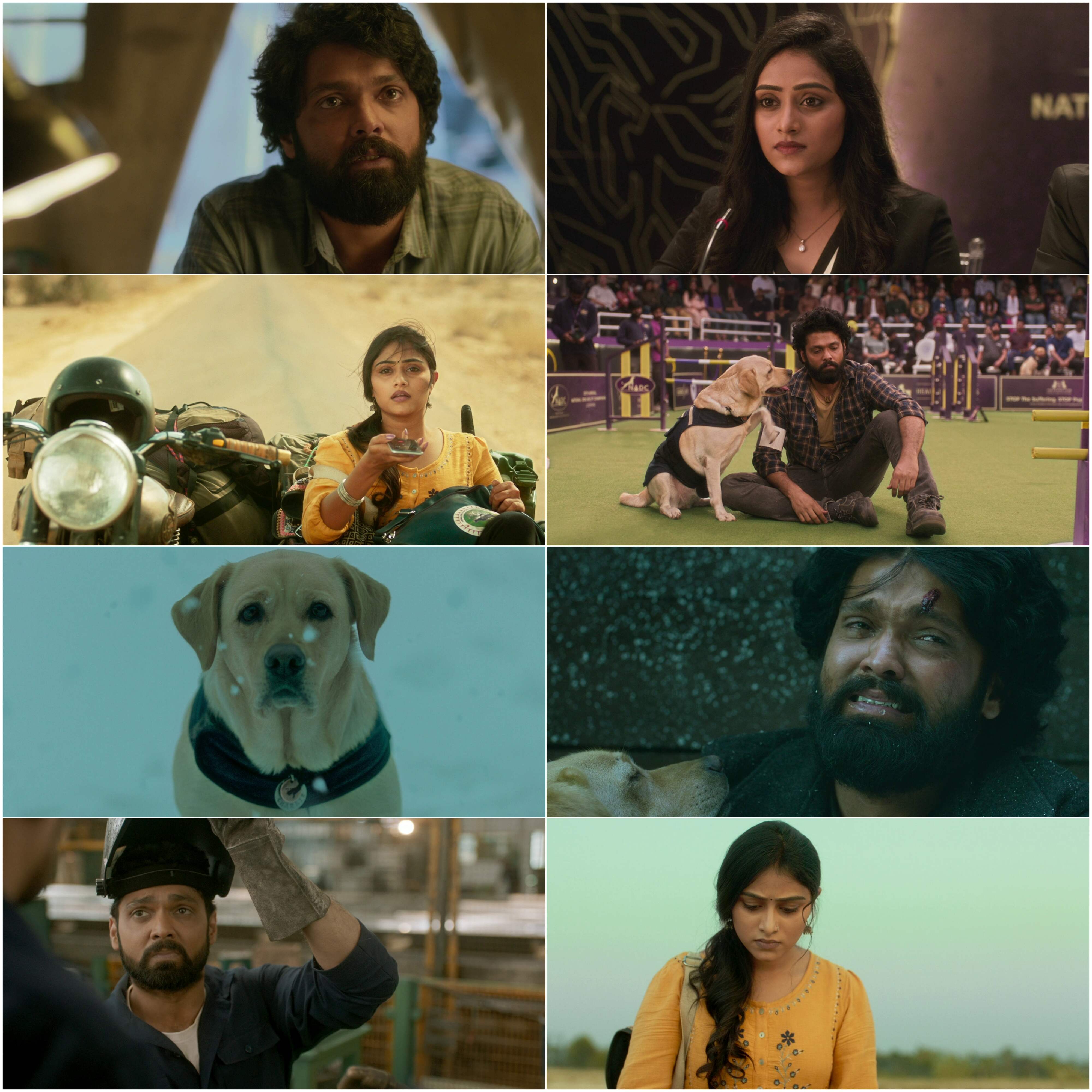 777 Charlie 2022 Hindi Kannada Dual Audio UnCut South Movie HD ESub filmywap screenshot