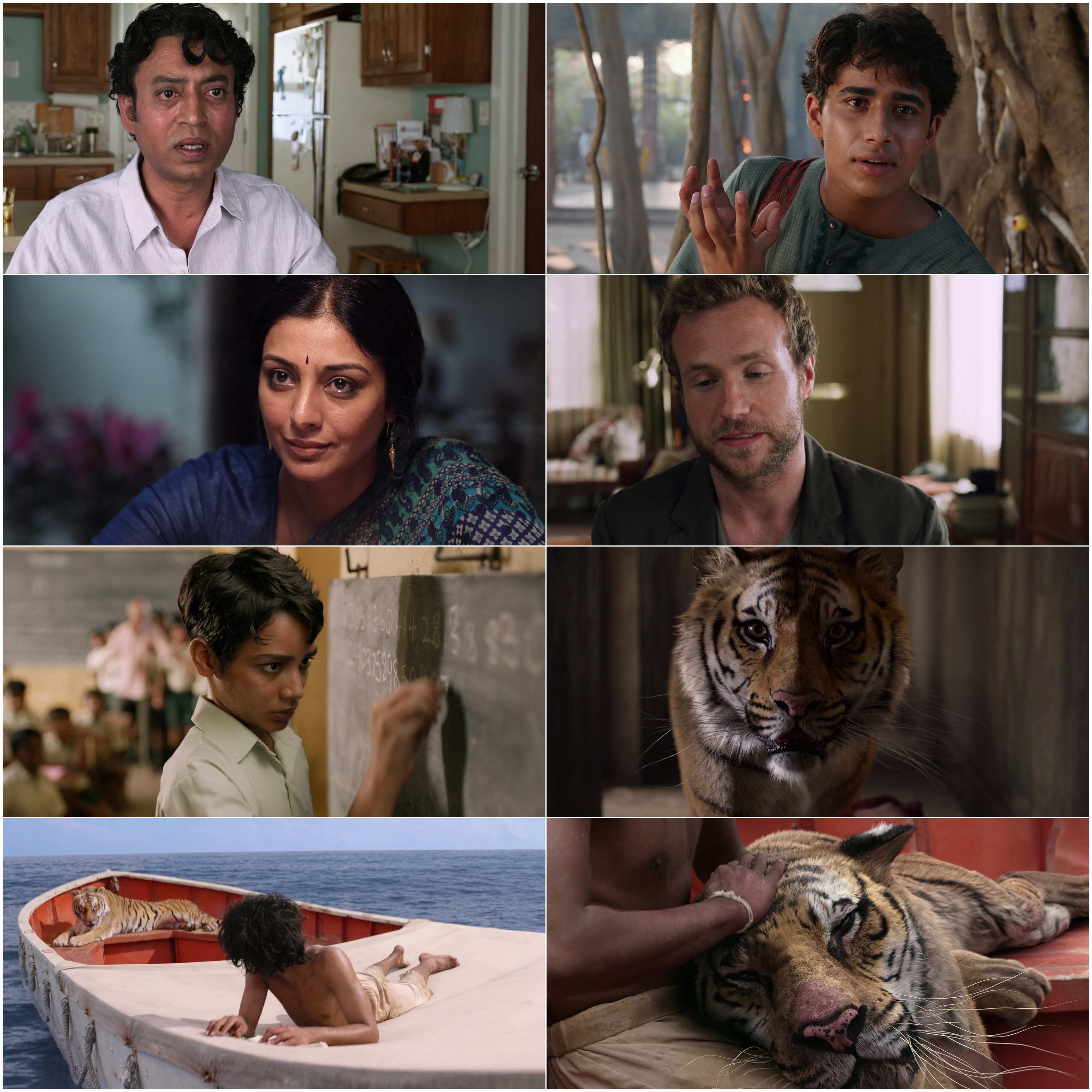 Life of Pi 2012 Hindi English Dual Audio Bollywood Movie HD ESub filmywap screenshot
