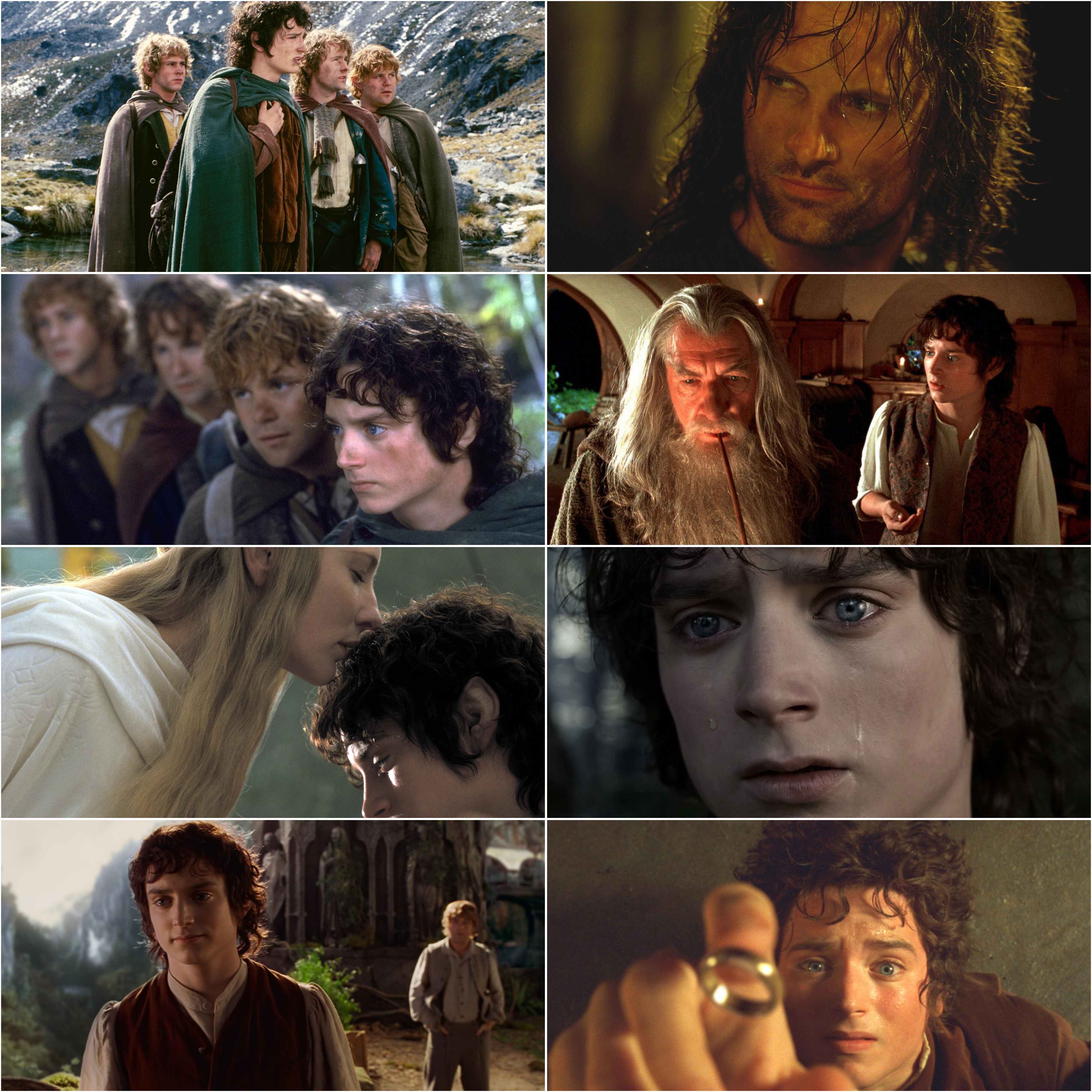 The Lord of the Rings The Fellowship of the Ring 2001 Hindi English Dual Audio Hollywood Movie BluRay HD ESub filmywap screenshot