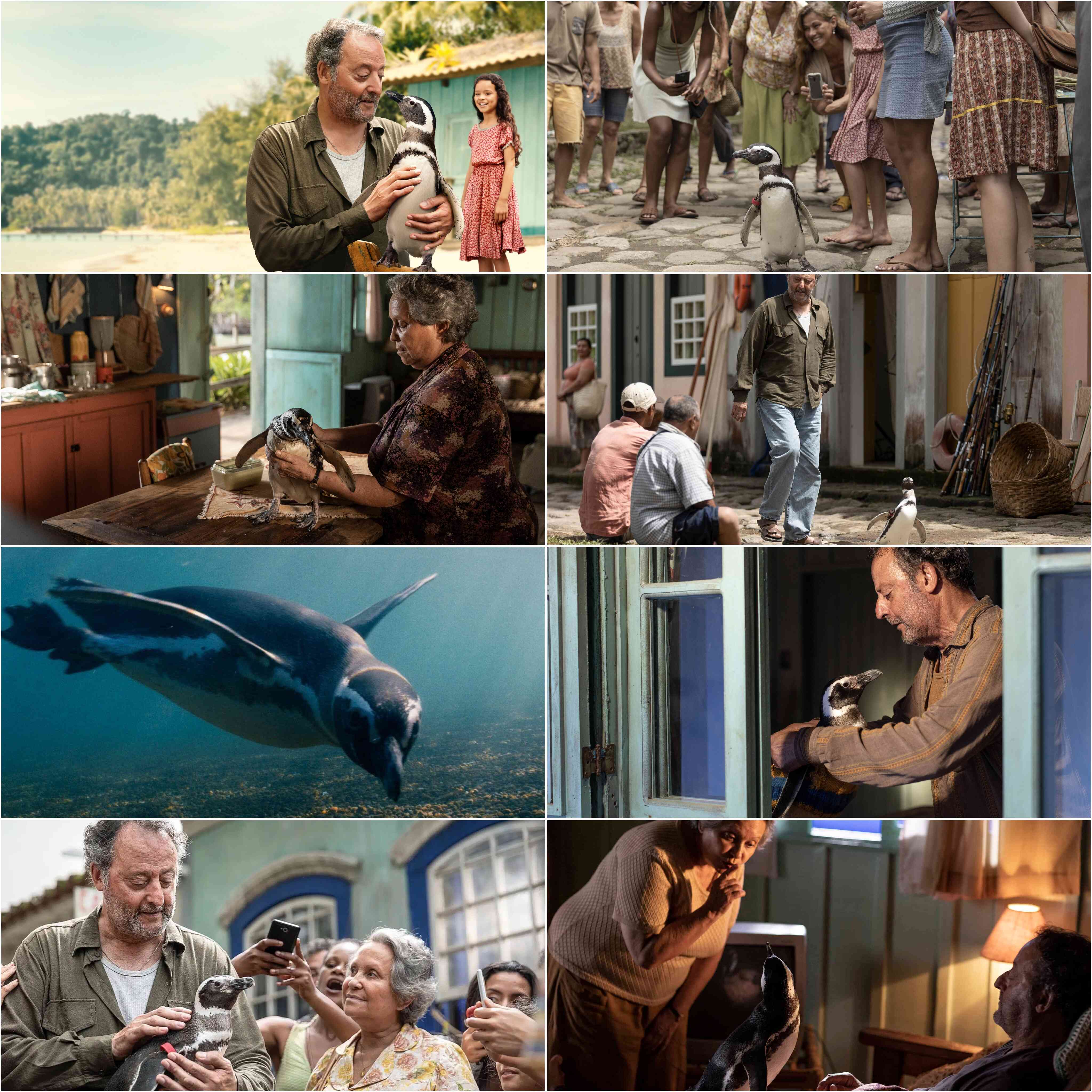 My Penguin Friend 2024 Hindi English Dual Audio Hollywood Movie HD ESub filmywap screenshot